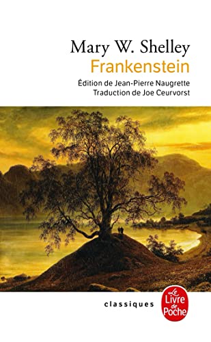 Frankenstein ou le Prométhée moderne - Shelley, Mary, Naugrette, Jean-Pierre