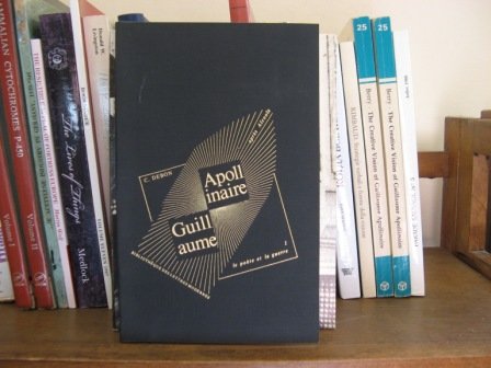 Guillaume Apollinaire apreÌ€s Alcools (BibliotheÌ€que des lettres modernes) (French Edition) (9782256908095) by Debon, Claude