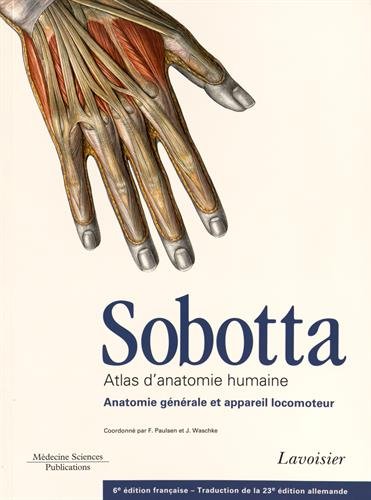 Imagen de archivo de Sobotta Atlas D'anatomie Humaine (French Edition) a la venta por Gallix