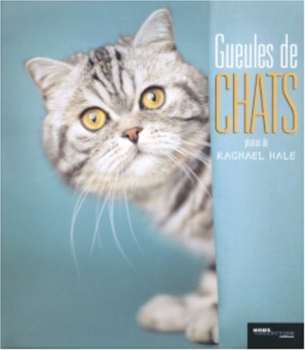 Imagen de archivo de Gueules De Chats a la venta por RECYCLIVRE
