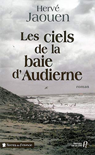 Beispielbild fr Les ciels de la baie d'Audierne zum Verkauf von Librairie Th  la page