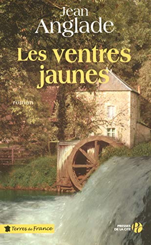 Stock image for Les ventres jaunes for sale by Librairie Th  la page
