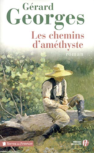 Stock image for Les Chemins d'amthyste for sale by Ammareal