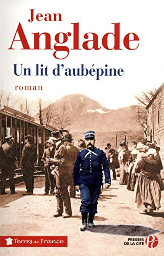 9782258091559: Un lit d'aubpine (TF)