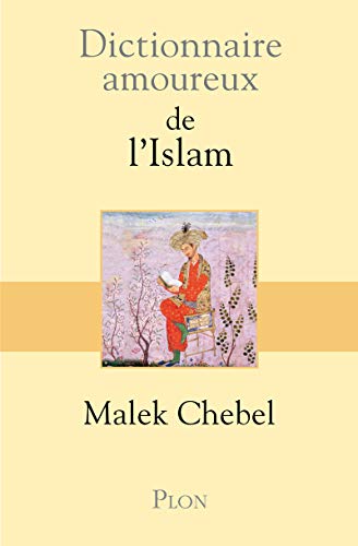 Beispielbild fr Dictionnaire amoureux de l'islam zum Verkauf von Ammareal