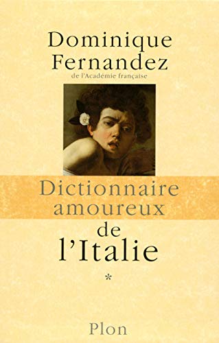 Coffret dictionnaire amoureux de l'Italie 2 volumes (9782259209489) by Fernandez, Dominique