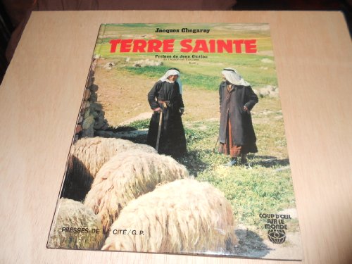 Stock image for Terre sainte for sale by Librairie Th  la page