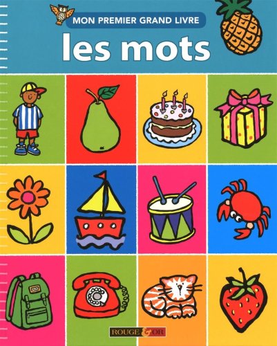 Stock image for Mon premier grand livre : Les mots for sale by medimops