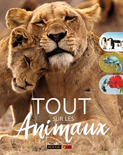 Beispielbild fr Tout sur les animaux zum Verkauf von Buchpark