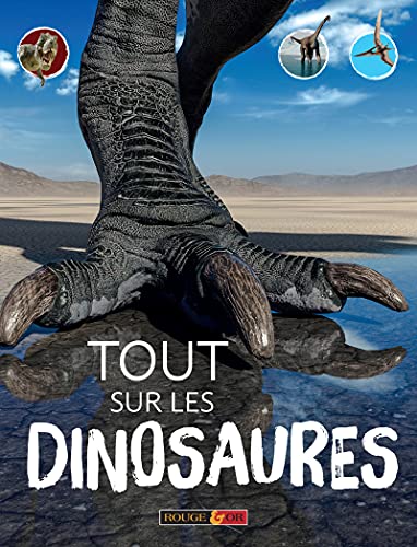 Beispielbild fr Tout Sur Les Dinosaures zum Verkauf von RECYCLIVRE