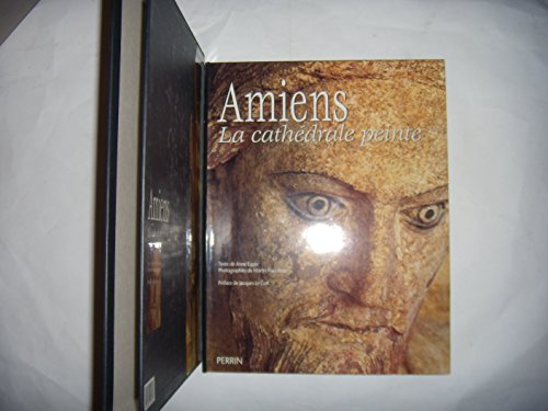 Stock image for Amiens, la cathdrale peinte for sale by Irish Booksellers