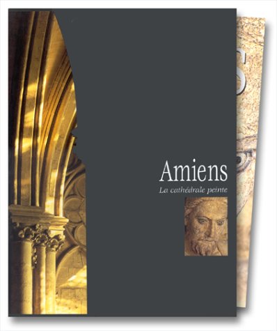 Stock image for Amiens : La Cathdrale peinte for sale by medimops