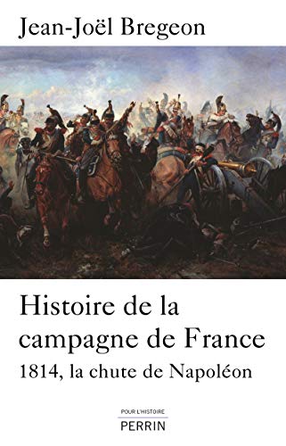 Stock image for Histoire de la campagne de France Brgeon, Jean-Jol for sale by Au bon livre