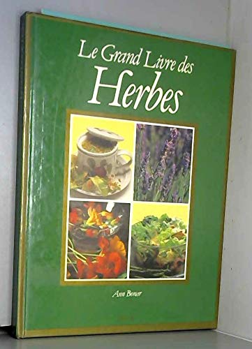 Beispielbild fr Livre des herbes zum Verkauf von medimops