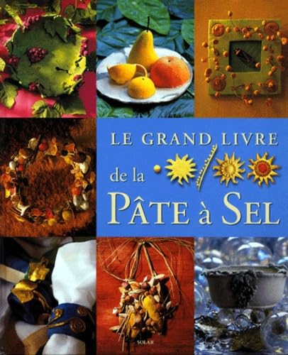 9782263028540: Le grand livre de la pte  sel