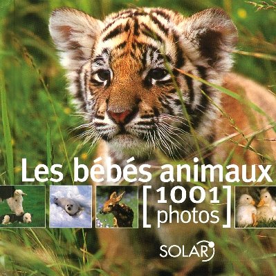 Beispielbild fr Les bbs animaux : 1001 Photos zum Verkauf von medimops