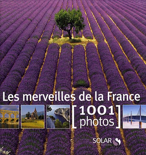 Imagen de archivo de Les merveilles de la France a la venta por WorldofBooks