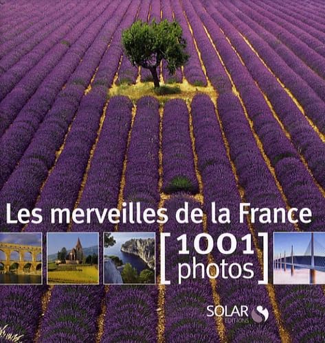 Stock image for Les merveilles de la France for sale by WorldofBooks