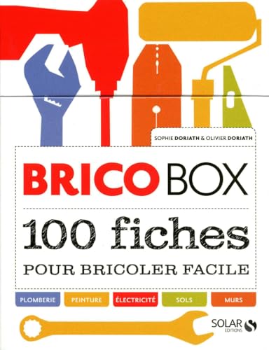 Beispielbild fr Brico box : 100 fiches pour bricoler facile zum Verkauf von medimops