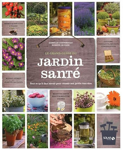 Beispielbild fr Le Grand Guide Du Jardin Sant : Tout Ce Qu'il Faut Savoir Pour Russir Son Jardin Bien-tre zum Verkauf von RECYCLIVRE