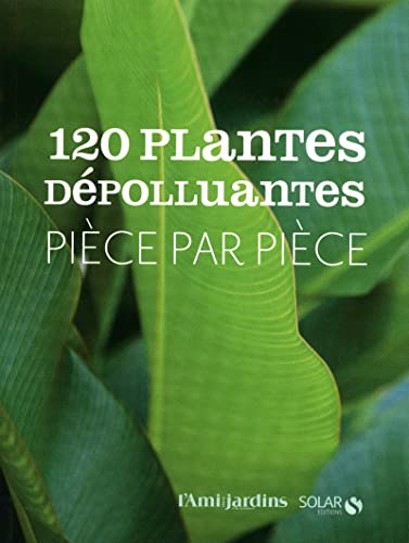 Stock image for 120 plantes dpolluantes pice par pice for sale by medimops