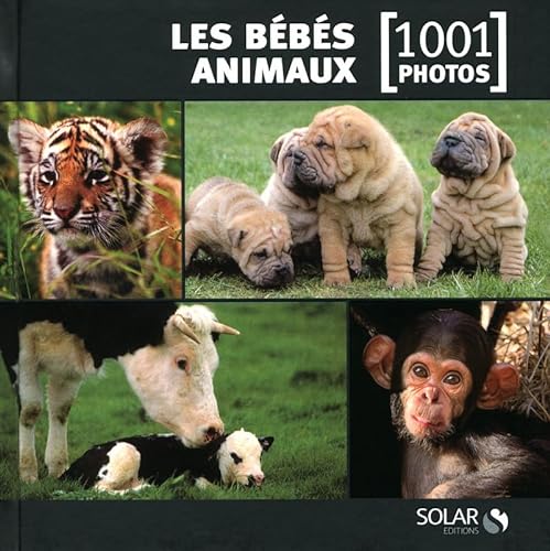 Beispielbild fr Les bbs animaux zum Verkauf von medimops