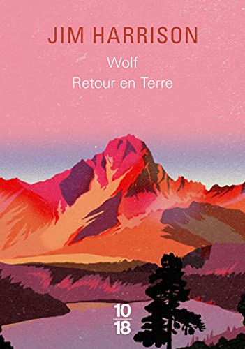 Stock image for Recueil Wolf / Retour en terre for sale by medimops