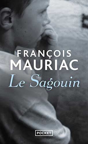 Stock image for Le sagouin for sale by Mli-Mlo et les Editions LCDA