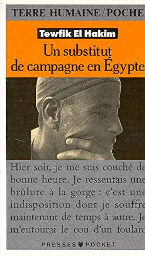 9782266056854: Un substitut de campagne en Egypte: Journal d'un substitut de procureur gyptien (Pocket Terre Humaine)