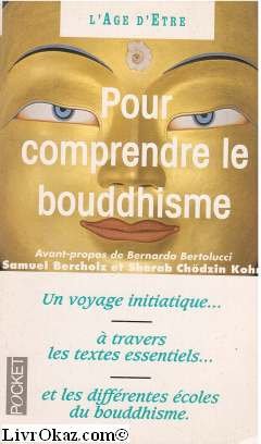 Stock image for Pour Comprendre Le Bouddhisme : Une Initiation  Travers Les Textes Essentiels for sale by RECYCLIVRE