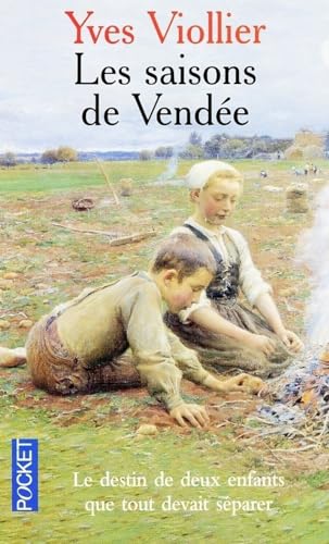 Stock image for SAISONS DE VENDEE for sale by books-livres11.com