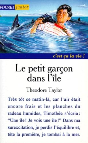 9782266077804: Le petit garon dans l'le