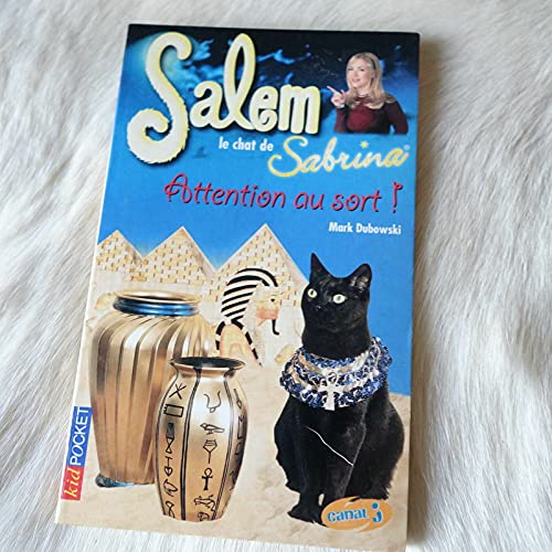 Beispielbild fr Salem - Attention au sort ! zum Verkauf von books-livres11.com