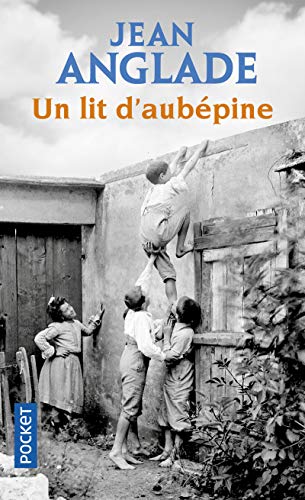 Stock image for Un lit d'aubpine for sale by books-livres11.com
