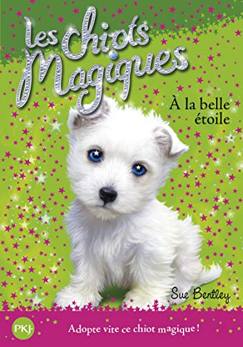 9782266189392: A la belle toile: 06 (Magic Puppy)