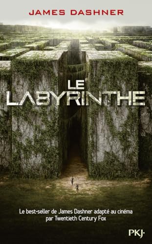 9782266200127: Le Labyrinthe: 1 (Pocket Jeunesse)