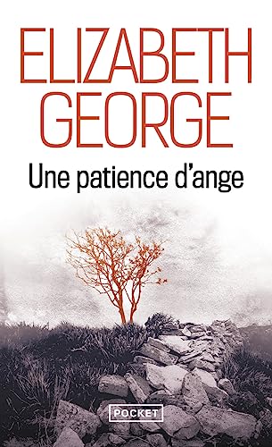 Une patience d'ange (9782266206693) by George, Elizabeth
