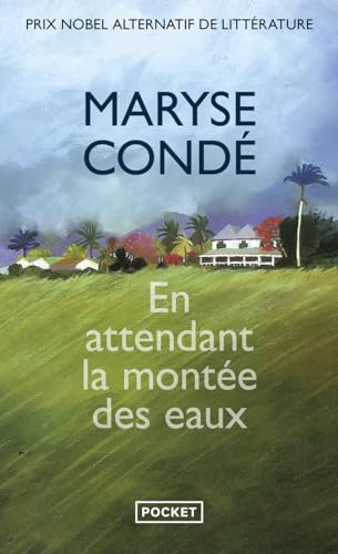 Stock image for En attendant la monte des eaux -Language: french for sale by GreatBookPrices