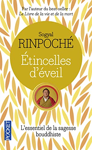 9782266221931: Etincelles d'veil: Rflexions au fil des jours sur la vie et la mort