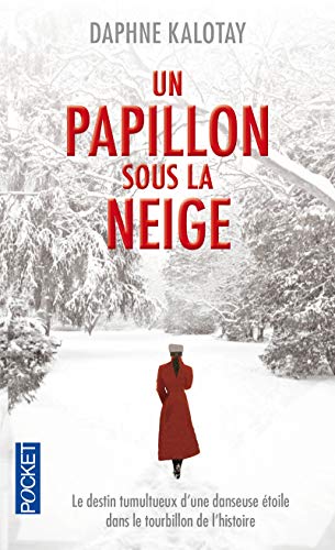 Stock image for Un papillon sous la neige for sale by books-livres11.com