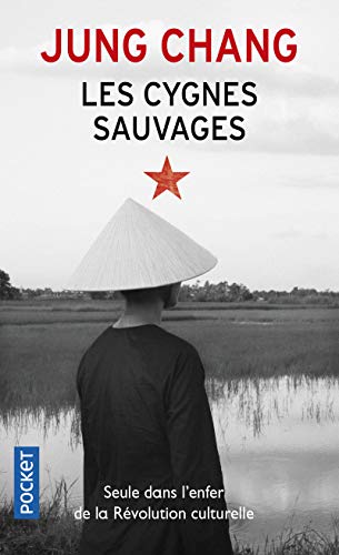 Beispielbild fr Les cygnes sauvages zum Verkauf von Librairie Th  la page