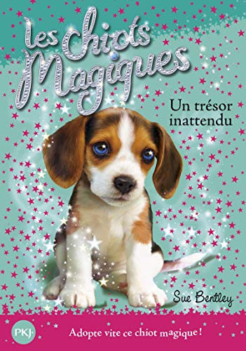 Beispielbild fr 14. Les chiots magiques : Un trsor innatendu zum Verkauf von medimops