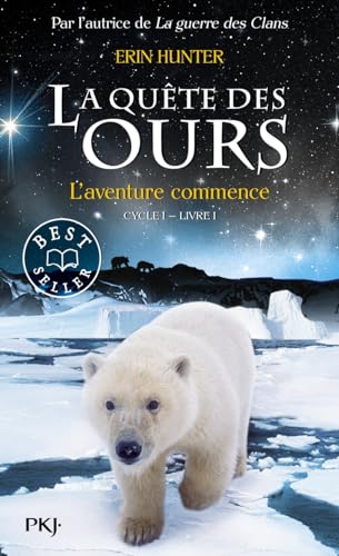 Beispielbild fr 1. La qute des ours : L'aventure commence ! zum Verkauf von medimops