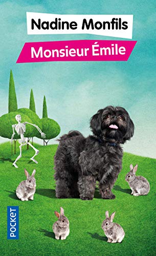9782266264785: Monsieur Emile