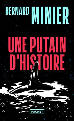 Beispielbild fr Une putain d'histoire (Thriller) (French Edition) zum Verkauf von SecondSale