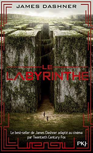 Beispielbild fr L'epreuve 1/Le labyrinthe: Roman zum Verkauf von WorldofBooks
