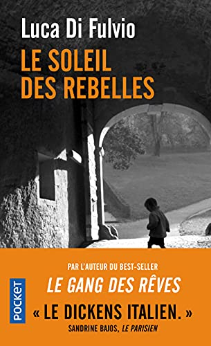 Stock image for Le Soleil des rebelles for sale by Librairie Th  la page