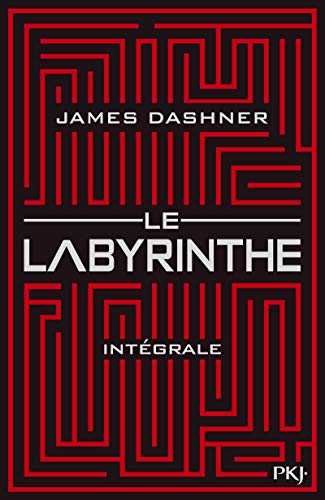 Beispielbild fr Intgrale Le labyrinthe zum Verkauf von medimops