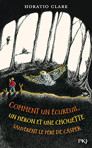 Imagen de archivo de Comment un  cureuil, un h ron et une chouette sauv rent le p re de Casper a la venta por WorldofBooks