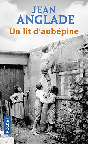 9782266300933: Un lit d'aubpine